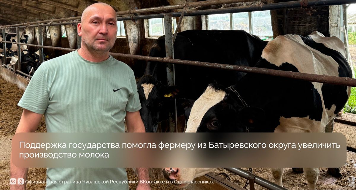 Фермер из Шыгырдана на грант в 5 млн рублей купил трактор и 10 нетелей